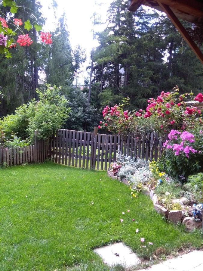 Achillea Bed & Breakfast วีโก ดี ฟาสซา ภายนอก รูปภาพ